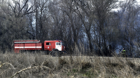 Воронежский губернатор призвал вводить особый противопожарный режим раньше
