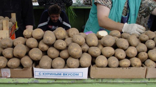  В Воронежской области подорожали овощи