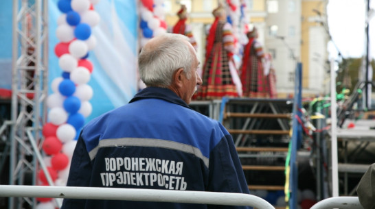 Власти Воронежа простили «Горэлектросети» долги на 12,2 млн рублей 