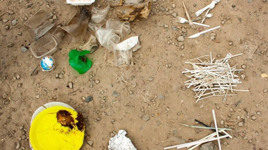 В Воронеже добровольцы очистят от пластикового мусора дикий пляж в Отрожке