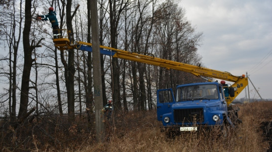Нижнедевицкие электрики  перевыполнили план по расчистке трассы