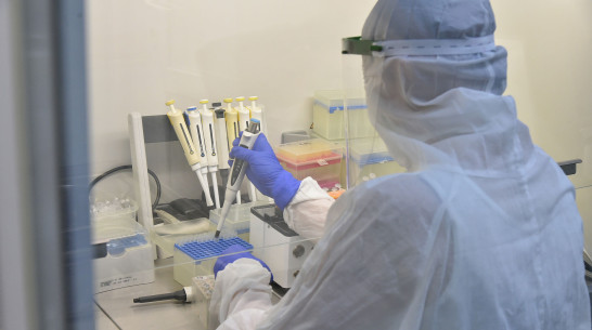 В Воронежской области выявили почти 350 новых случаев COVID-19