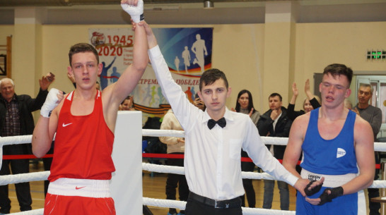 Богучарцы завоевали 17 золотых медалей межрегионального боксерского турнира