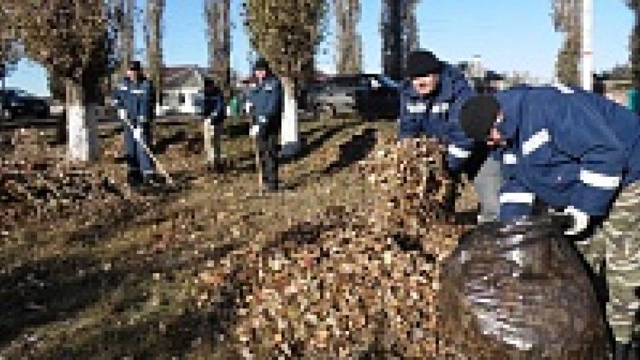 В Боброве участники субботника убрали с улиц города более 120 тонн листьев и сухой травы