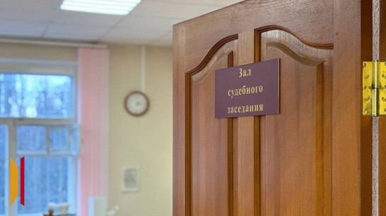 В Воронеже подругу агента спецслужб Украины оштрафовали за несообщение о преступлении