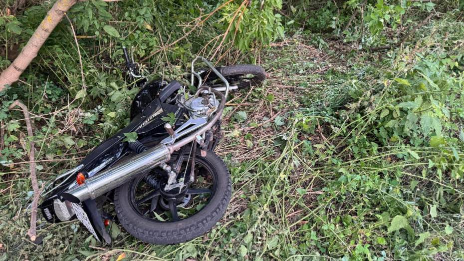 Мотоциклист вылетел в кювет и скончался от травм в Воронежской области