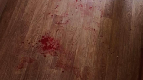 Жительницу Воронежа, ранившую ножом 4-летнюю дочь, проверят на вменяемость
