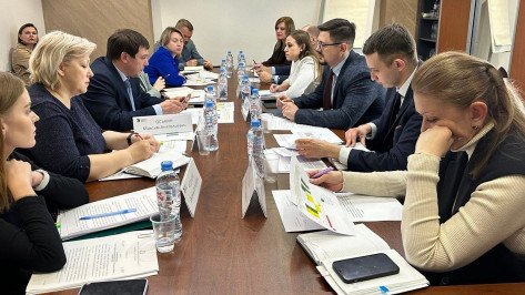 Воронежский Центр эффективности правительства области оказывает методологическую помощь в реализации инвестиционных проектов