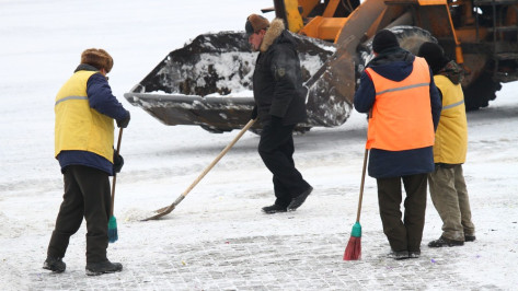 Воронежские коммунальщики отчитались об уборке улиц «часами» и «метрами»