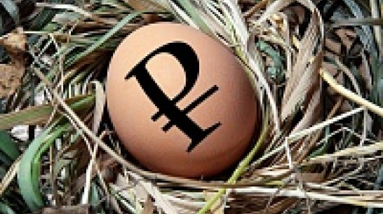 Молодые воронежские предприниматели научатся бизнесу на реалити-шоу