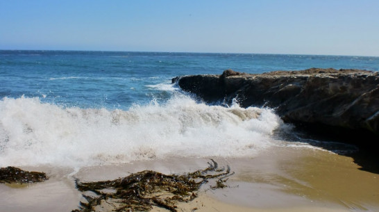 Вирус Коксаки, малярия, брюшной тиф: какие болезни привозят воронежцы с отдыха за границей