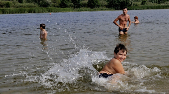 Воронежский Роспотребнадзор забраковал пляж в Каменском районе