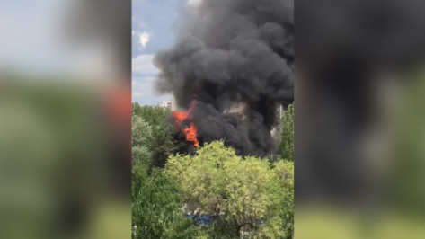 На видео попал масштабный пожар в юго-западной части Воронежа