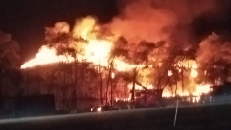 Гостиница сгорела на трассе М-4 «Дон» в Воронежской области