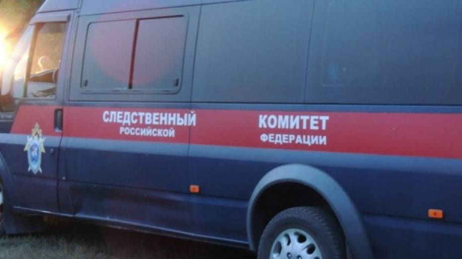 Житель Воронежской области ответит в суде за убийство матери во время застолья