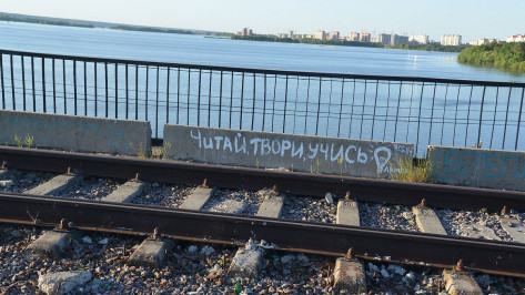 Верхний ярус Северного моста в Воронеже могут превратить в творческое пространство