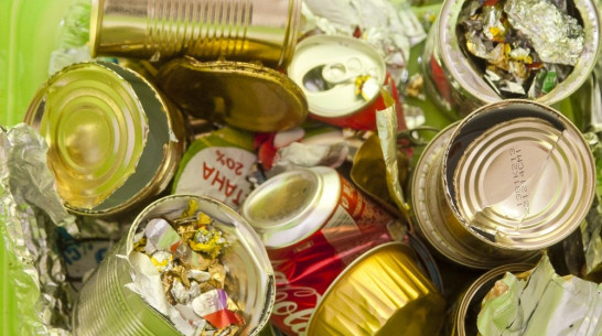 Воронежские экоактивисты создадут карту пунктов приема вторсырья