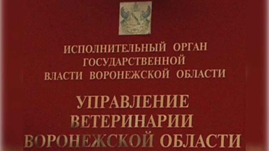 Управление ветеринарии Воронежской области разработало два бережливых проекта