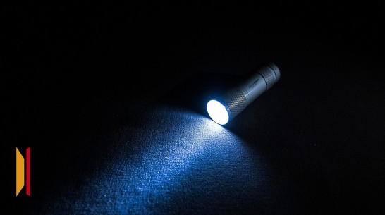 За 2025 год волонтеры нашли погибшими 75 пропавших воронежцев