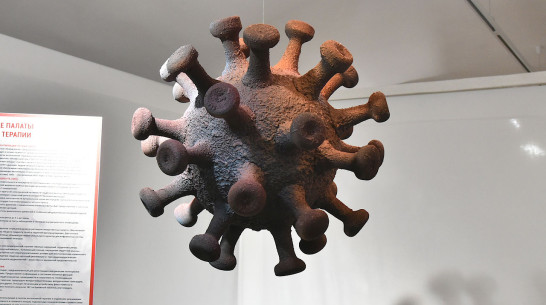 Октябрь-2021 стал самым смертоносным в Воронежской области за время пандемии коронавируса