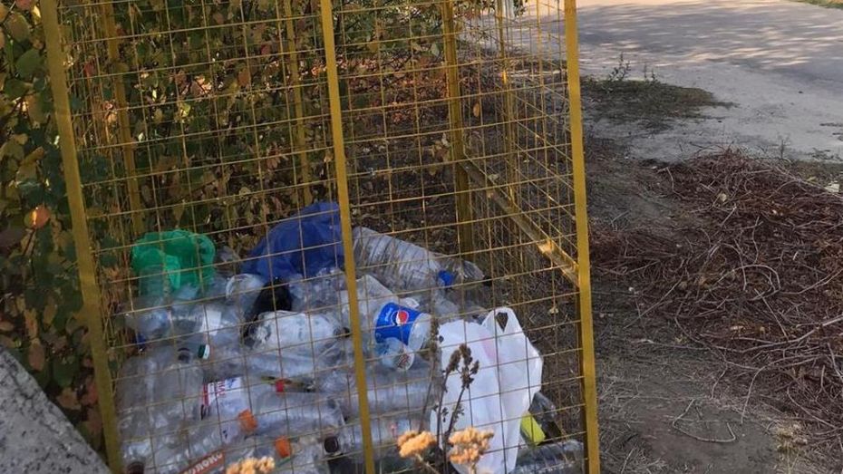 В Грибановском районе установили первый контейнер для раздельного сбора мусора