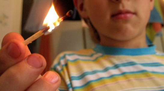 В Богучарском районе трехлетний ребенок случайно поджег сенник