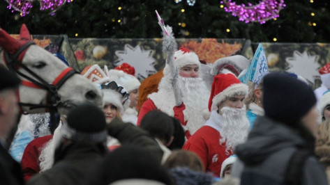 В Воронеже на новогодних каникулах организуют 4,5 тыс мероприятий