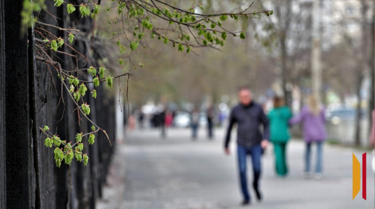 В Воронеже резко похолодает в конце апреля