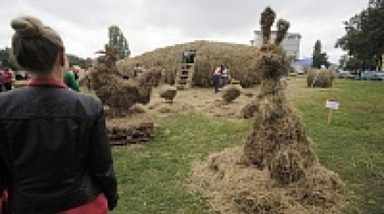 Воронежцы увидят парк «Ломы» в миниатюре на фестивале «Воронеж – город-сад»