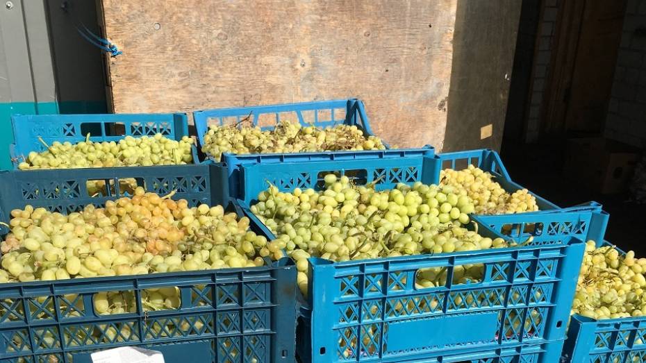 Таможенники нашли на воронежском рынке 330 кг винограда из Турции