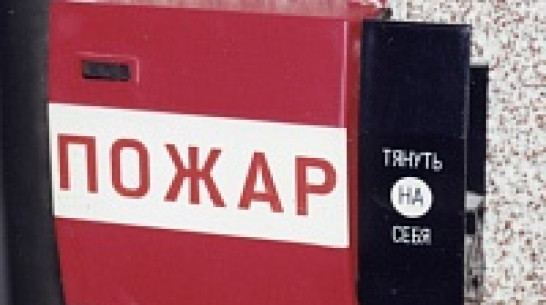 МЧС советует воронежцам не посещать ряд ночных клубов и кафе