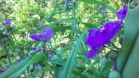 На рабочей неделе в Воронеже будет тепло и сухо
