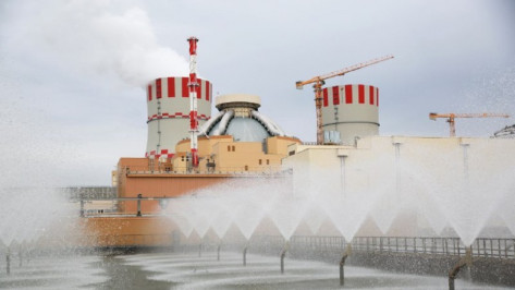 Энергоблок №6 Нововоронежской АЭС остановят на ремонт