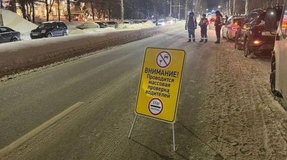 Госавтоинспекция проводит рейд на дорогах Воронежа