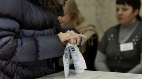 За выборами в Панино проследят наблюдатели ОБСЕ