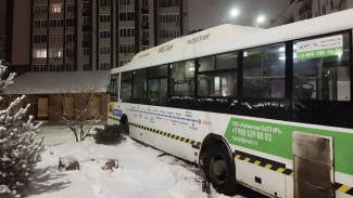 Появились подробности массового ДТП с вылетевшим с дороги автобусом в Воронеже