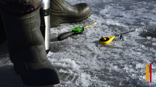 Три пенсионера-рыбака утонули под Воронежем