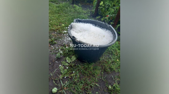 Разбитое стекло автомобиля и пострадавший урожай: воронежцы поделились последствиями града 22 июля