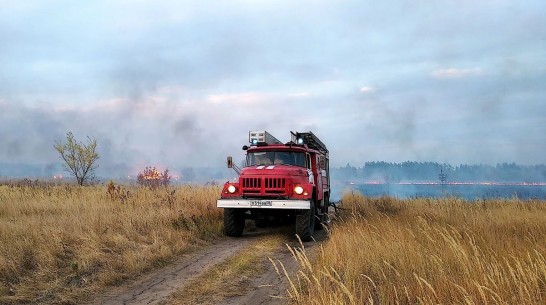 В Воронежской области из-за жары выросла опасность пожаров