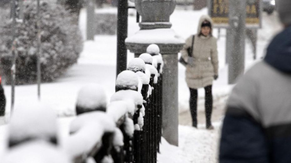 Из Воронежа за ночь вывезли 4,3 тыс кубометров снега