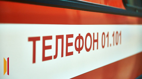 Две свиньи и 12 уток сгорели в ночном пожаре в Воронежской области