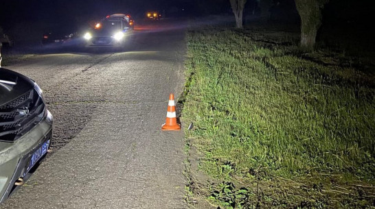 В Воронежской области неизвестный автомобилист насмерть сбил 13-летнего мальчика и уехал