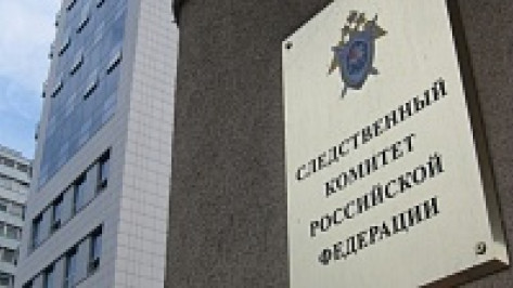 Уголовные дела по фактам угроз губернаторам Воронежской, Белгородской, Курской и Брянской областей объединят в одно производство