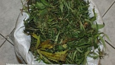 У 68-летнего новохоперца дома нашли крупную партию марихуаны