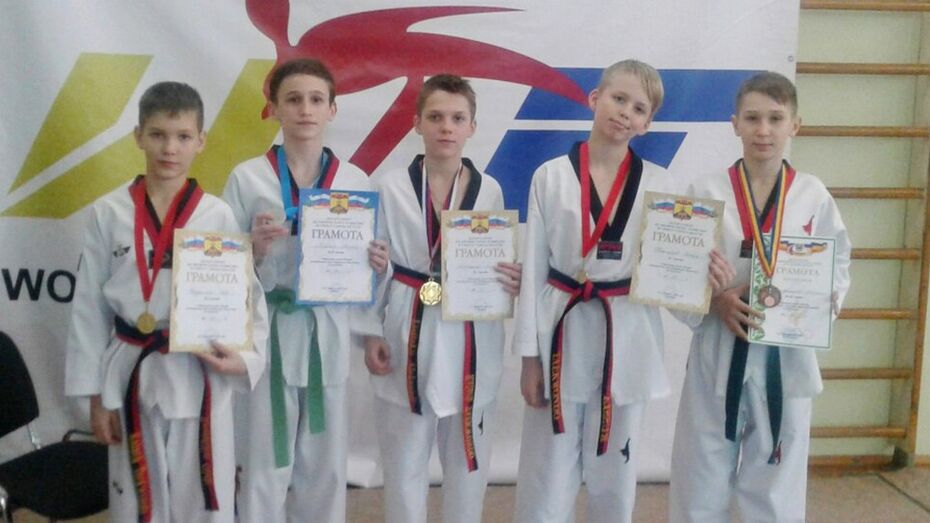 Калачеевские тхэквондисты выиграли 6 золотых медалей на межрегиональном турнире