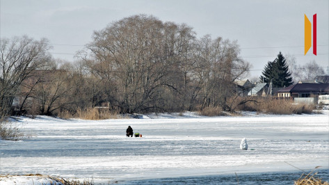Морозная и снежная рабочая неделя ожидает воронежцев