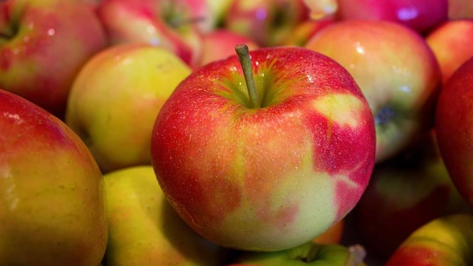 Под Воронежем уничтожили 50 кг яблок из Польши