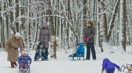 В Воронеж придут потепление и снегопады