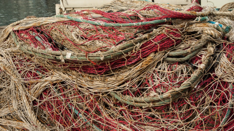 В Аннинском районе рыбака оштрафовали за самодельную огромную сеть