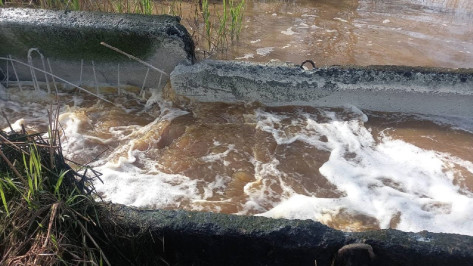 Экологи взяли пробы зловонных химических стоков на левом берегу Воронежа